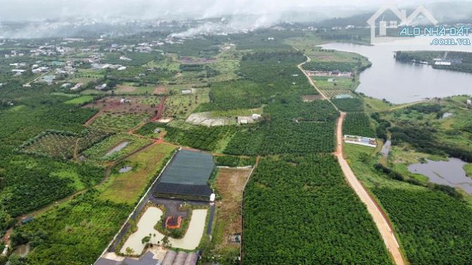 Chính chủ bán lô đất đẹp 26000m2 tại phường Lộc Phát, Bảo Lộc, Lâm Đồng - 3