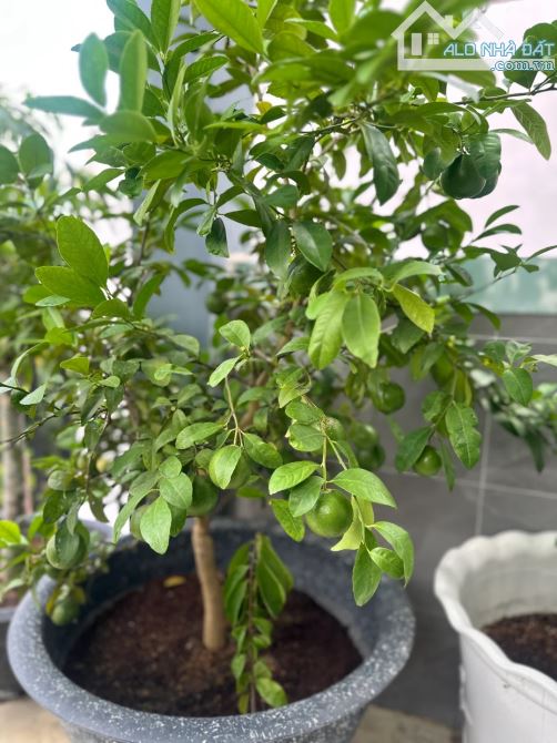 Nhà lô góc mặt tiền Nguyễn Công Hoan, gần bến xe trung tâm - 3