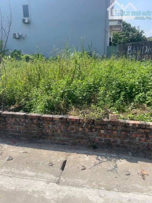 Phù xá Đoài -Phú Minh-Sóc Sơn. 61m chỉ hơn 2 tỉ Đường trước đất 5m.Gần sân bay - 3