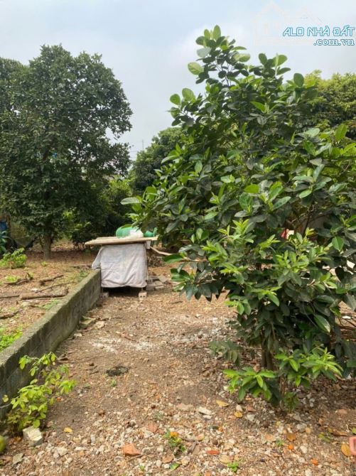 Sổ đỏ chính chủ cần bán lô đất 138m2 thôn Đồng Trạng, Cổ Đông. - 3