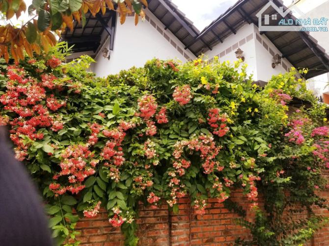 📌📌📌LÀM VIỆC TRỰC TIẾP GIÁ TỐT !!!bán biệt thự trần tấn - 3