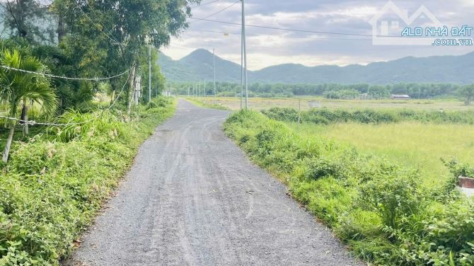BÁN 802M2 ĐẤT PHƯỚC HẢI - KHU CAM PINH ĐỒNG GIÓ.VIEW NÚI MINH ĐẠM MÁT MẺ - 3