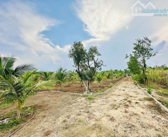 🌿 BÁN 3.8 SÀO ĐẤT ÔM SUỐI – P. KHÁNH XUÂN, TP. BMT 🌿 - 3