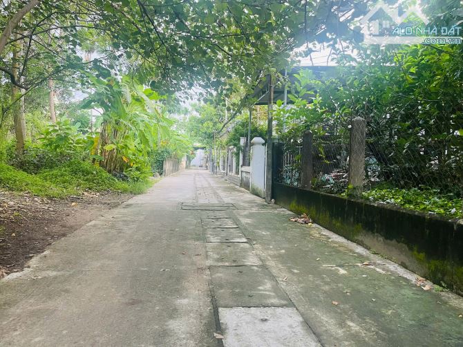 🏠BÁN ĐẤT DT 177M- GIÁ 1,6x TỶ- KIỆT NGUYỄN TẤT THÀNH -TRUNG TÂM TX HƯƠNG THỦY, HUẾ  📍 - 3