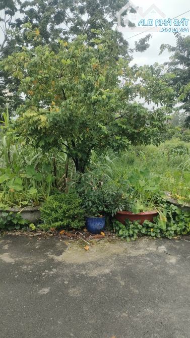 🌟 BAO ĐẸP, 1 NỀN 2 MẶT TIỀN THẲNG TẮP -159M – FULL THỔ - 3 TỈ 3 – AN PHƯỚC, LONG THÀNH 🌟 - 3