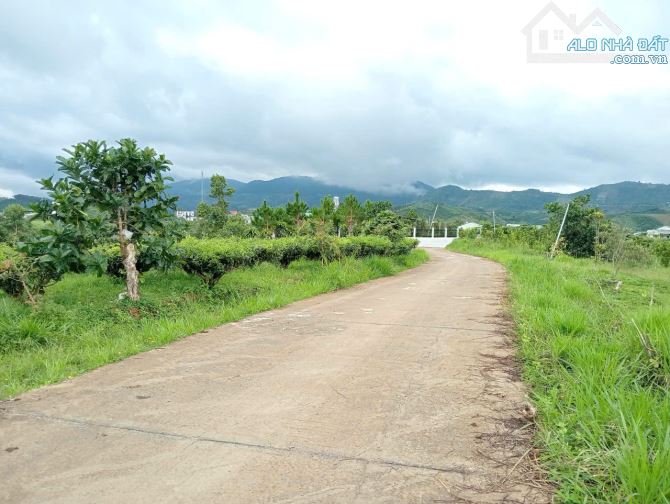 2.5 sào Bảo Lộc, hơn 100m mặt đường betong. - 4