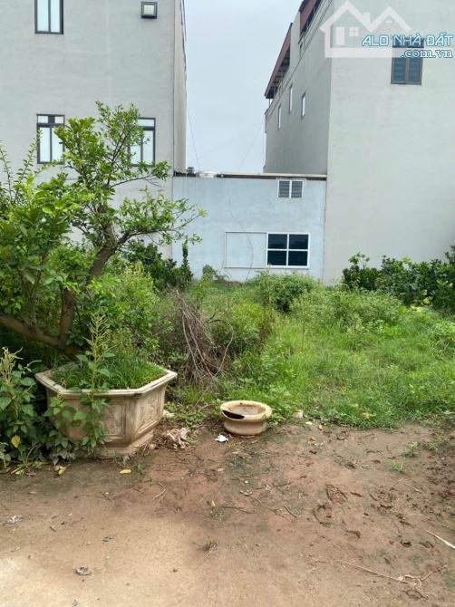 🏆🏆🏆 Chính chủ gửi bán 87m2 đấu giá Đan Kim Liên Nghĩa Văn Giang. Đối diện trường THPT D - 4