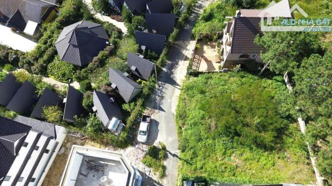 BÁN HAI LÔ ĐẤT  VIEW RỪNG THÔNG KHU VILLA BIỆT THỰ CỰC ĐẸP ĐÀ LẠT - 4
