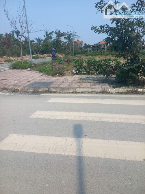 Chính chủ gửi bán lô đất tại đấu giá Suối Rồng Ngọc Xuyên Đồ Sơn - 4