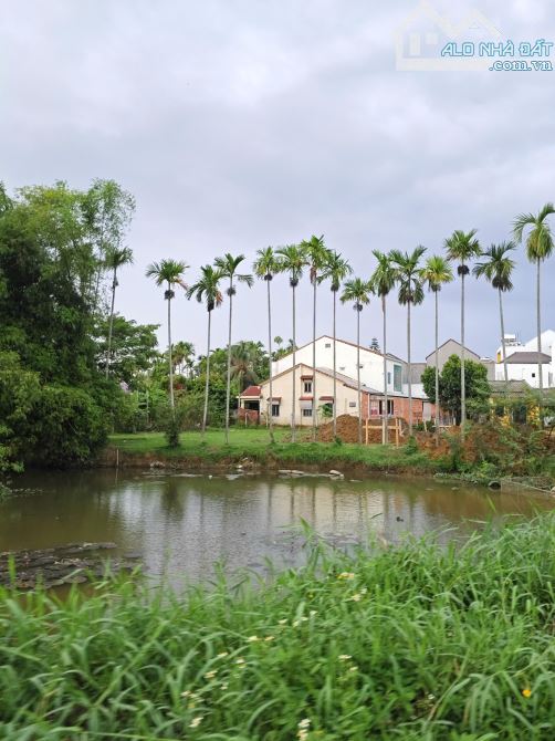 BÁN ĐẤT KIỆT LÊ THÁNH TÔNG - HỘI AN - VIEW LÚA
