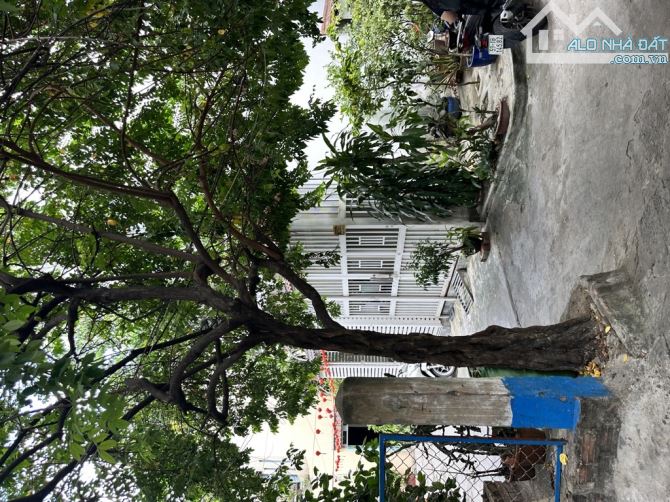 BÁN NHÀ NGUYỄN THƯỢNG HIỀN - PHÚ NHUẬN - NHÀ NÁT - 8M x 11M - 6 TỶ - 3