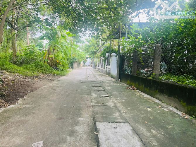 🏠BÁN ĐẤT DT 177M- GIÁ 1,6x TỶ- KIỆT NGUYỄN TẤT THÀNH -TRUNG TÂM TX HƯƠNG THỦY, HUẾ  📍 - 4