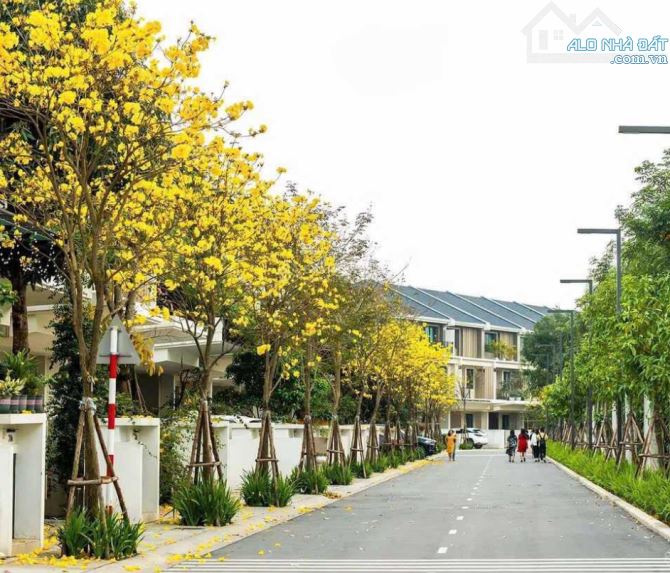 CẦN BÁN GẤP CĂN BIỆT THỰ LIỀN KỀ 120m PARK CITY - 5