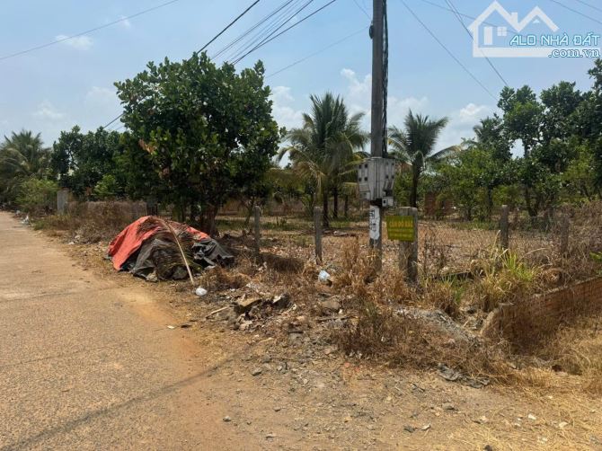 Chỉ 3,6 TỶ có ngay 💥 🌟 ĐẤT 2 MẶT TIỀN HẺM TỈNH LỘ – THÔN 11, XÃ EABAR - 6