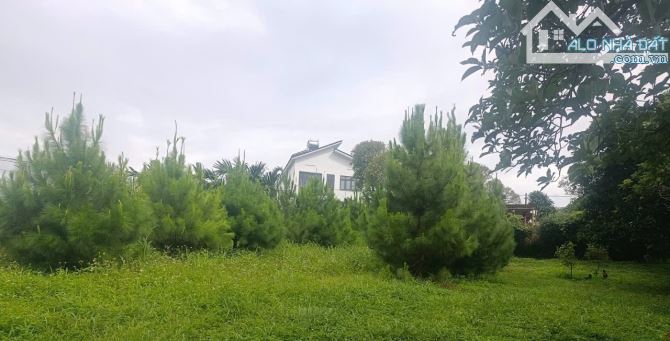 🌿 CHỈ 12 TỶ SỞ HỮU NGAY KHU ĐẤT 2 MẶT TIỀN SIÊU ĐẸP 🌿 - 6