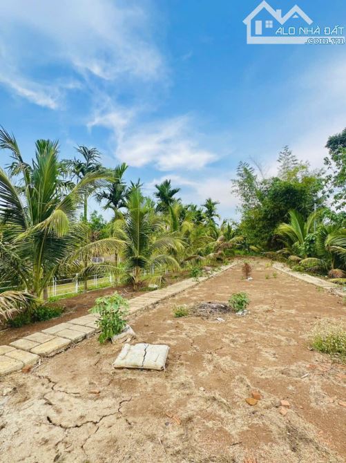 🌿 BÁN 3.8 SÀO ĐẤT ÔM SUỐI – P. KHÁNH XUÂN, TP. BMT 🌿 - 6
