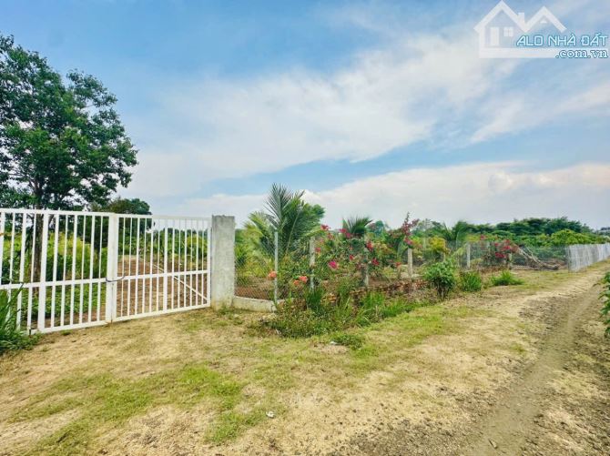 🌿 BÁN 3.8 SÀO ĐẤT ÔM SUỐI – P. KHÁNH XUÂN, TP. BMT 🌿 - 7
