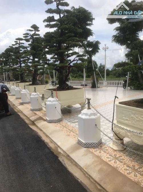 Bán Đất Long An giáp Bình Chánh_Giá  từ 900tr - 1 Tỷ 300 Triệu tùy nền - 9