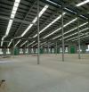 Cho thuê kho xưởng 3200m2, 3600m2, 4500m2, 7000m2 ngay KCN Đất Đổ 1, Bà Rịa Vũng Tàu.