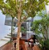 Cần bán căn BIỆT THỰ tại KQH NGỌC ANH - PHẠM VĂN ĐỒNG - HUẾ - Chỉ 5,xx tỷ/ 170m2 đất
