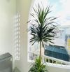 Chuẩn căn hộ mới xây 6 tầng dòng tiền cao ổn định - Khu vực FPT Đà Nẵng - Ngũ Hành Sơn