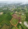 Chính chủ bán lô đất đẹp 26000m2 tại phường Lộc Phát, Bảo Lộc, Lâm Đồng