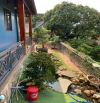 Nhà vườn villa mini trung tâm phố Gần Khu đấu Giá Trần Quý Cáp - Phường Tân Lập - BMT