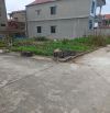 🌟 BÁN ĐẤT NGHĨA ĐẠO – THUẬN THÀNH, BẮC NINH – 82M² – GIÁ CHỈ 2.5 TỶ 🌟