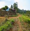 Bán Farm nghỉ dưỡng 5.4ha tại thôn 9,xã Đà Loan,Đức Trọng,Lâm Đồng chỉ 270tr/sào
