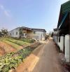 LÔ THỔ CƯ TÂN HOÀ - BMT - ĐAKLAK 1 Tỷ 050 triệu