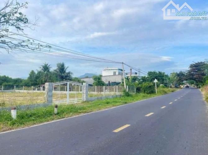 Bán đất 1333m (20*56) nở hậu , full hồng