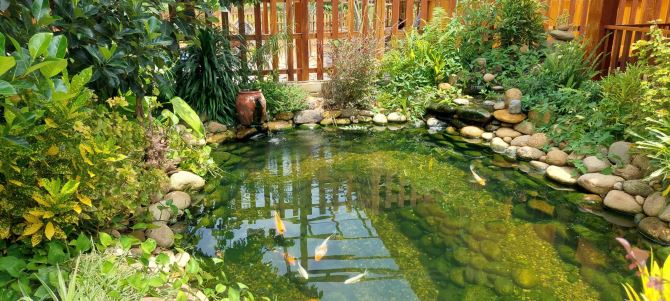 Bán nhà vườn đà nẵng, 423m2 có 200m2 đất ở ngang rộng rãi 20m - 4