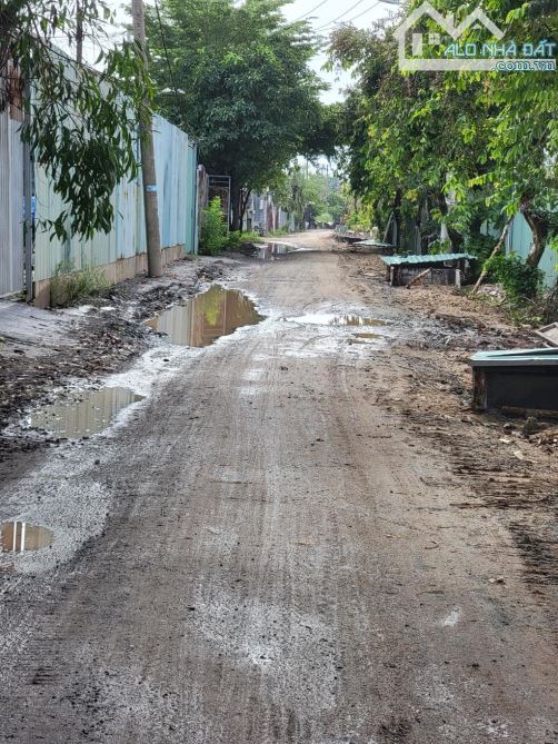 bán đất 1,000m² mặt tiền bờ sông đường nhị Bình 15 xã nhị Bình huyện hóc môn đường 7m  Đã