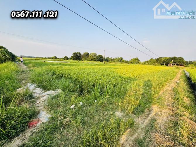 🌾 🌾Bán 600m2 Đất Ruộng Viên Nội, Vân Nội – Gần Cầu Nhật Tân, TP Thông Minh