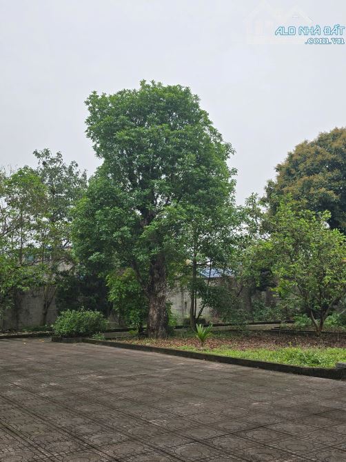 BÁN ĐÂT Ở + VƯỜN + AO + NHÀ DT RỘNG HƠN 4.000 M,