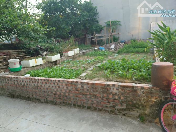 💥💥💥Cơ hội vàng, nhanh tay mảnh đất hiếm, Thôn Đoài Nam Hồng, giá đầu tư