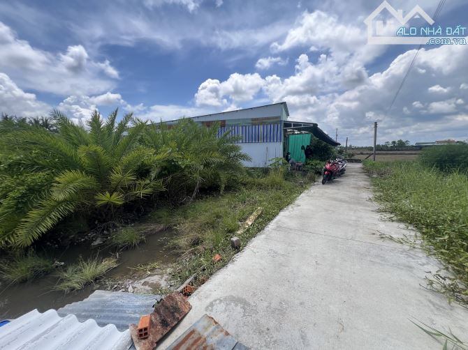 Đất thổ 226m2 - Tân Bình - Tân Trụ - Gần ngã ba An Lái