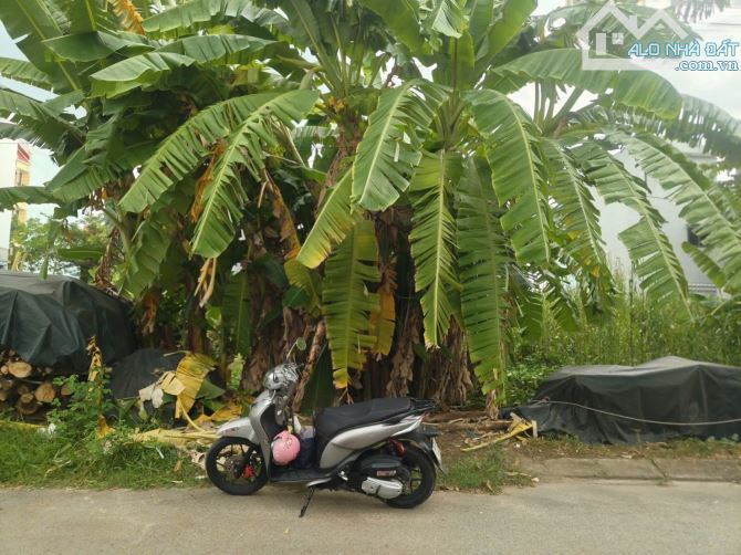 💎Bán đất 60m2 _ Phú Hữu,  Thủ Đức.