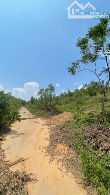 1.5 tỷ, 8000m2, 360 thổ cư, Cẩm Lý, Lục Nam, Bắc Giang, bám đường ô tô, ra vào thuận tiện,