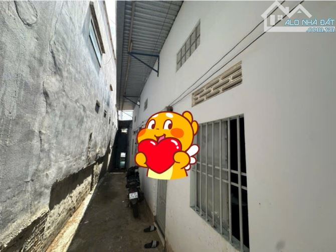 Cần Bán Dãy Trọ 2MT Trước Sau Mặt Tiền Săm Brăm Phường Ea Tam BMT - 2