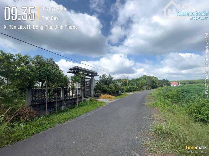 BÁN LÔ ĐẤT ĐỒNG PHÚ GIÁ CỰC RẺ - 1