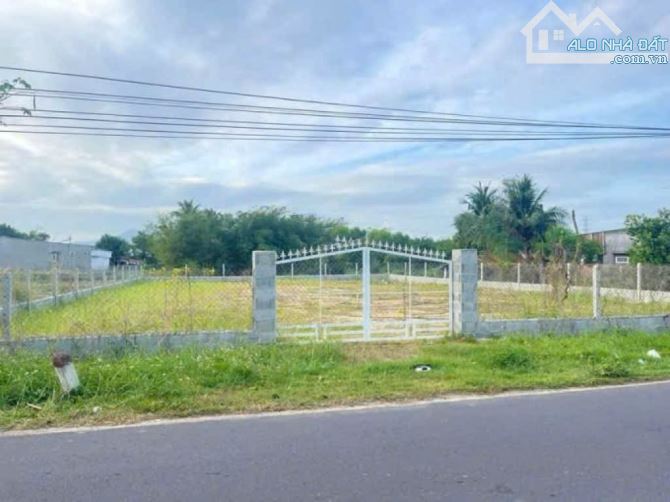 Bán đất 1333m (20*56) nở hậu , full hồng - 1
