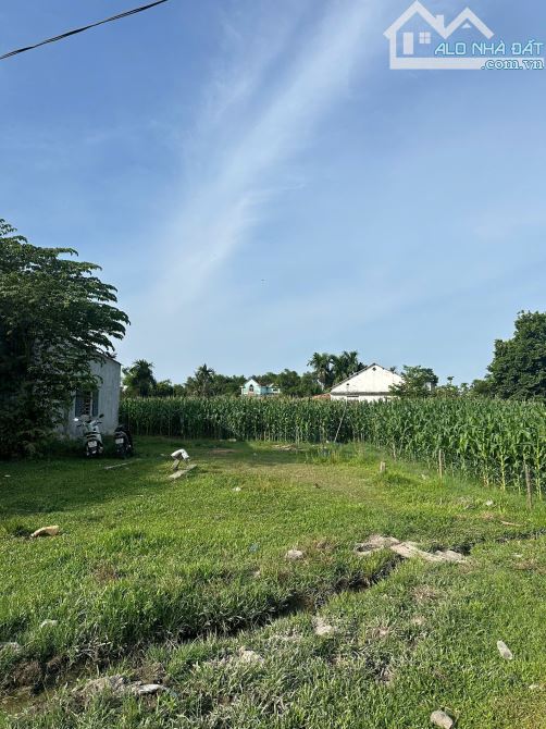 BÁN LÔ ĐẤT TAM XUÂN2, ĐƯỜNG BÊ TÔNG Ô TÔ GIÁ ĐẦU TƯ. - 1