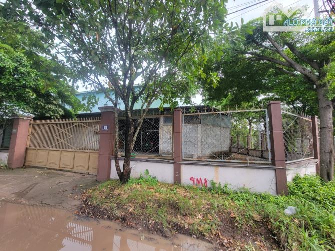 bán đất 1,000m² mặt tiền bờ sông đường nhị Bình 15 xã nhị Bình huyện hóc môn đường 7m  Đã - 1