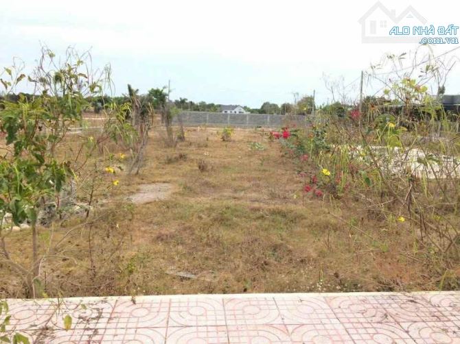 THANH LÝ NHANH ĐẤT XÃ PHƯỚC HẢI -TP  HỒ CHÍ MINH CHỈ TỪ 1TỶ100 - 1