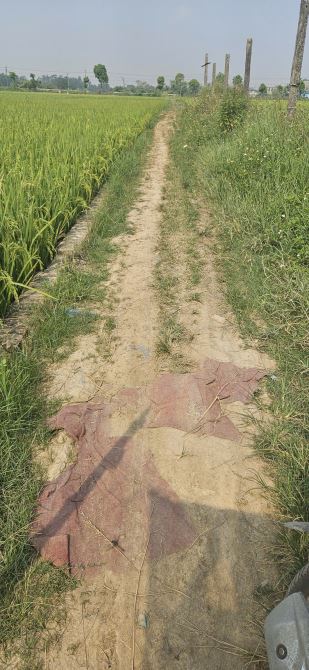 🌾 🌾Bán 600m2 Đất Ruộng Viên Nội, Vân Nội – Gần Cầu Nhật Tân, TP Thông Minh - 1
