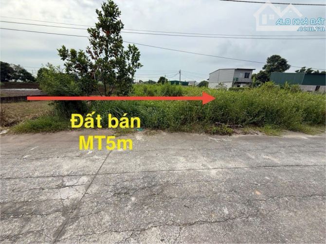 Bán đất Đình Tổ - Thuận Thành - Bắc Ninh, - 1