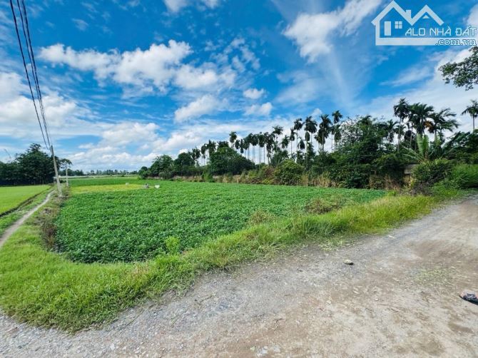 🔥Đất Trồng Cây đường TX33 phường THẠNH XUÂN Q12.DT  4,819m2  (37mx189m) hẻm 6m 💵 30tỷ . - 1