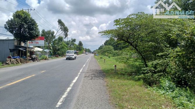 ĐẤT 2617 m2 8,9 Tỷ MẶT TIỀN QUỐC LỘ 61C, ẤP NHƠN THUẬN 1, XÃ NHƠN NGHĨA, PHONG ĐIỀN, TPCT - 1