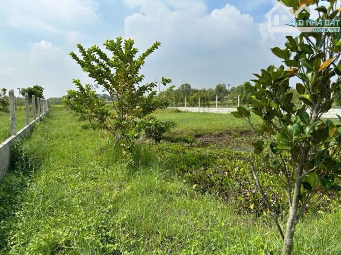 Thái Mỹ (TLT-CỦ CHI) bán lô đất rộng(19 x63) HXH gần đường 667 giá 2tỷ. - 1